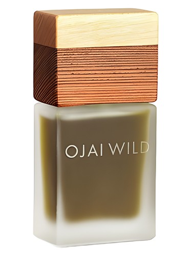 Redwood Leaves by Ojai Wild