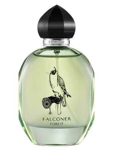 Falconer Forest by OTTANIQO