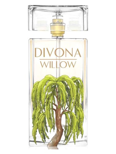 Willow by Divona