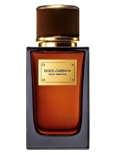 Velvet Amber Sun Dolce&Gabbana perfume
