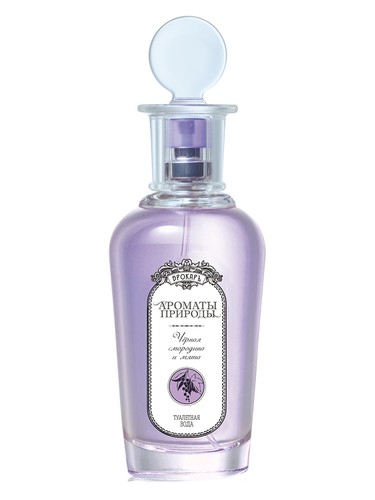 Черная смородина и мята - Black currant and Mint