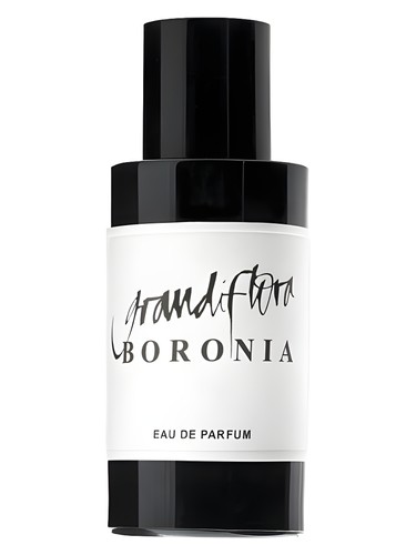 Boronia by Grandiflora