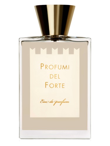 Vetiver Moderno by Profumi del Forte