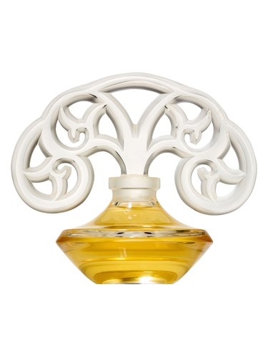 Jardin Nocturne by Shalini