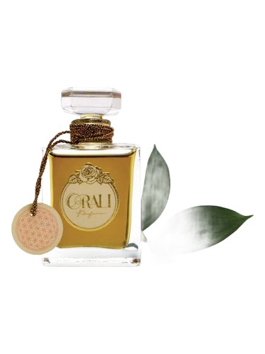 Saint by Orali Perfume