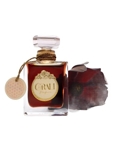 Chocolate by Orali Perfume