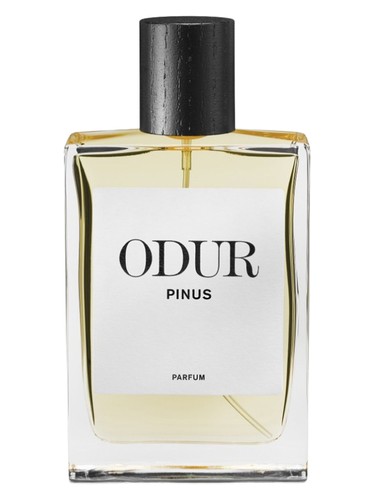Pinus by ODUR
