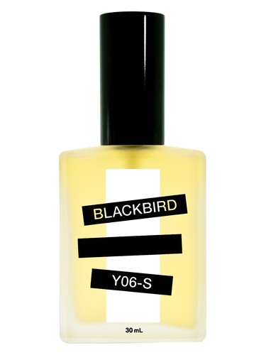Y06-S by Blackbird