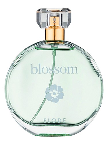 Blossom by Elode