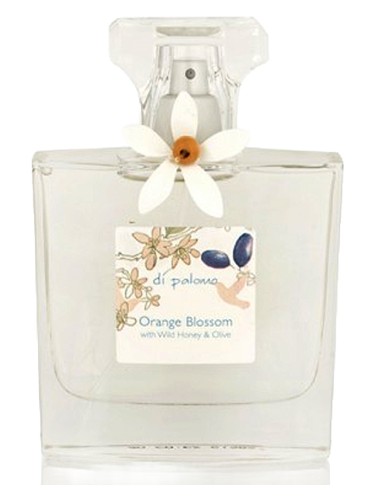 Orange Blossom by Di Palomo