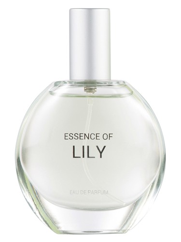 Essence of Lily C&A perfume by C A