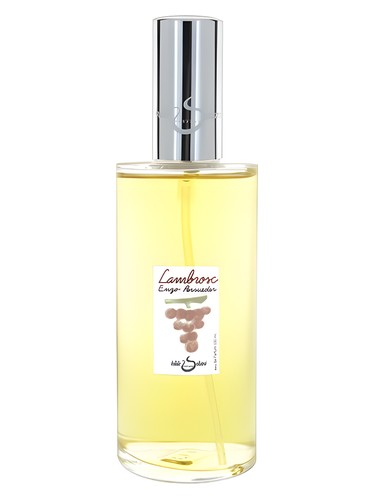 Lambrosc by Hilde Soliani