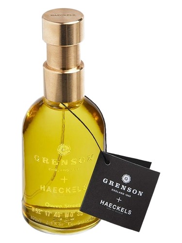 Queen Street by Haeckels