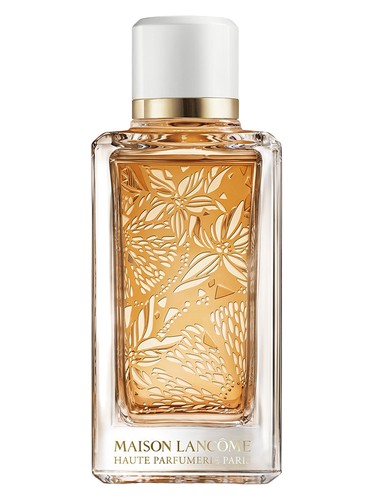 Oranges Bigarades Lancôme perfume by Lancome