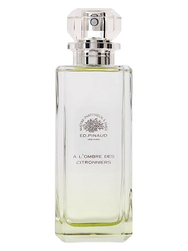A l'Ombre des Citronniers by Ed Pinaud