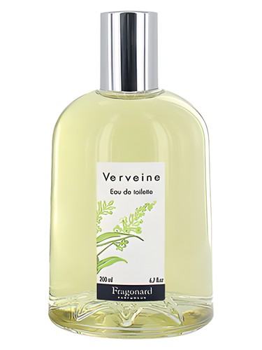 Verveine by Fragonard