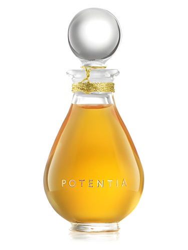 Amber God by The House Of Potentia