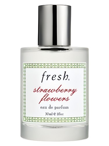 Strawberry Flowers by Fresh