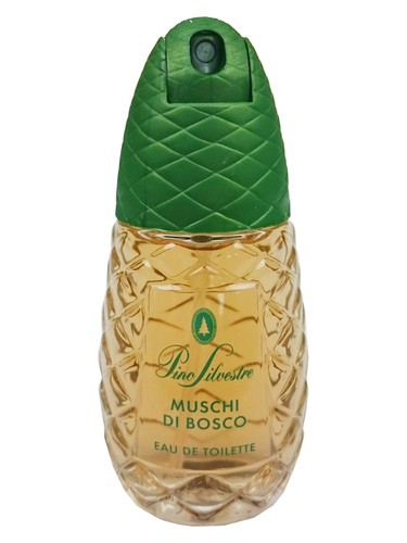 Pino Silvestre Muschi Di Bosco