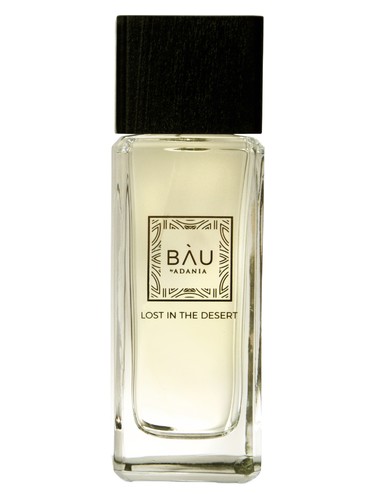 Lost In The Desert by BAU