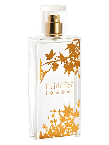 Comme Une Evidence Limited Edition 2008 by Yves Rocher