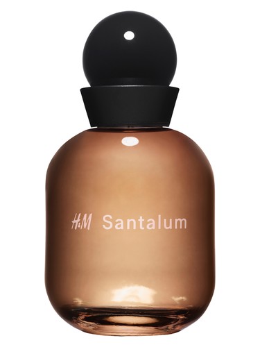 H&M Santalum H&M perfume by H M