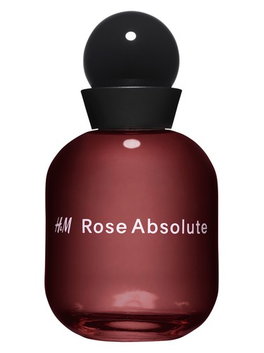 H&M Rose Absolute H&M perfume by H M