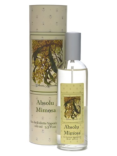 Absolu Mimosa Provence & Nature perfume by Provence Nature