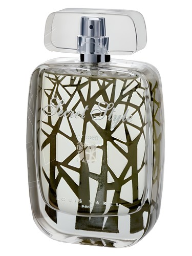 Secret Style For Men by Louis Varel