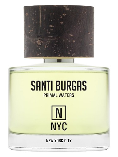 New York City by Santi Burgas