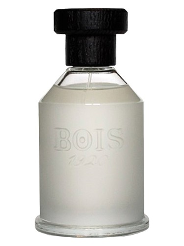 Sopra Il Mare by Bois 1920