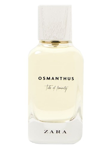 Osmanthus by Zara