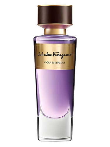 Viola Essenziale by Salvatore Ferragamo