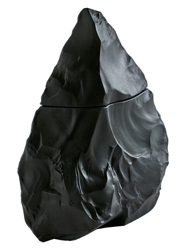 Neandertal Dark 2015