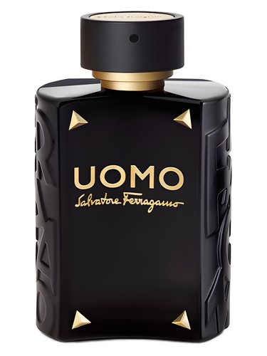 Uomo Salvatore Ferragamo Limited Edition by Salvatore Ferragamo
