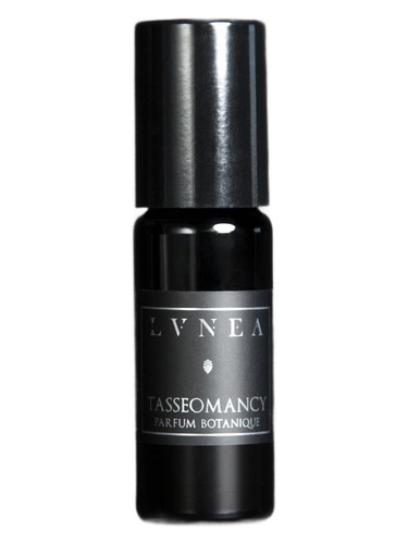 Tasseomancy by Lvnea