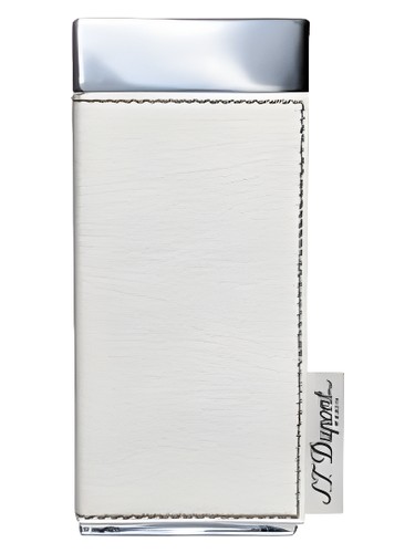 Passenger for Women S.T. Dupont perfume by S T Dupont