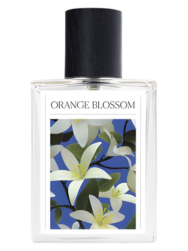 Orange Blossom by The 7 Virtues