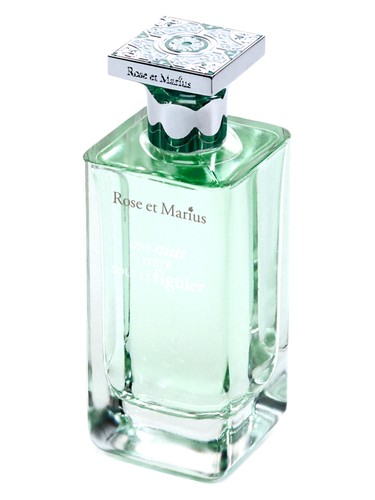 Une Nuit D'Éte Sous Le Figuier