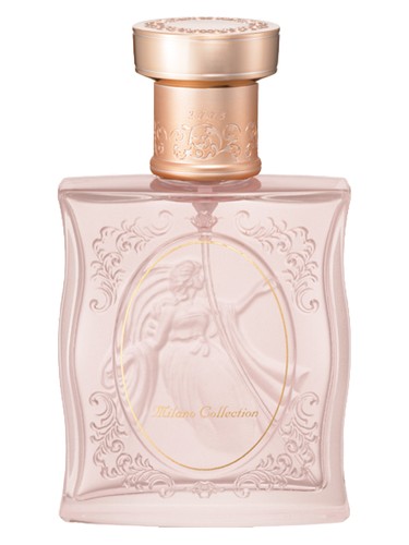 Milano Collection 2008 by Kanebo