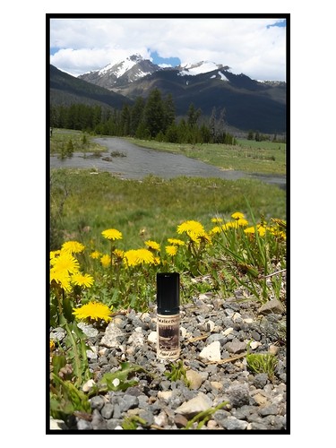 Hidden Lodge by Solstice Scents