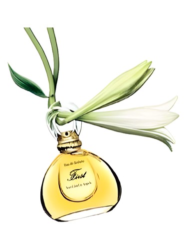 First Jasmin de Chine Van Cleef & Arpels perfume by Van Cleef Arpels