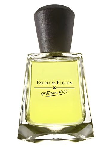 Esprit de Fleurs by Frapin