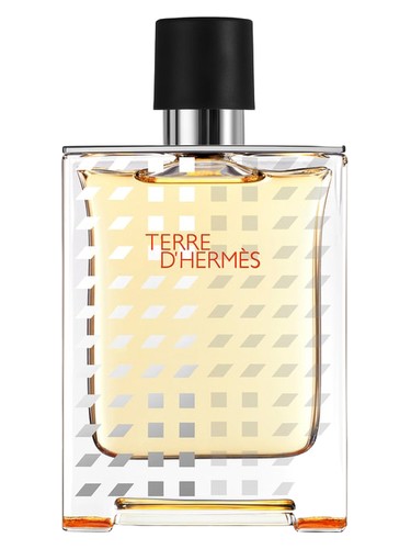 Terre d'Hermes Flacon H 2019 Eau de Toilette Hermès cologne by Hermes