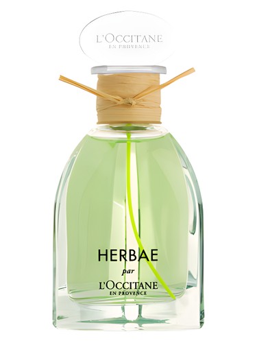 Herbae L'Occitane en Provence perfume by L Occitane en Provence