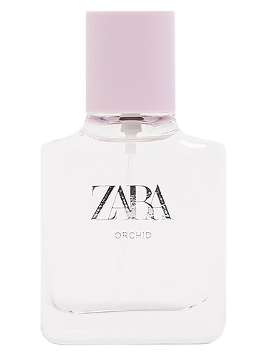 Orchid 2019 by Zara