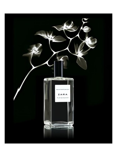 Flor de Azahar by Zara