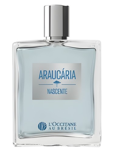 Araucária Nascente L’Occitane Au Brésil cologne by L Occitane Au Bresil
