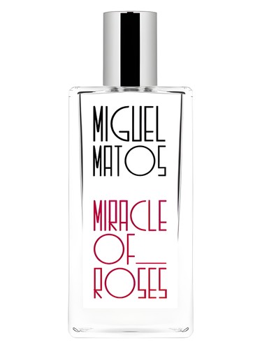 Miracle of Roses by Miguel Matos