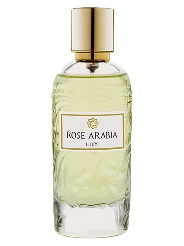 Rose Arabia Lily by WIDIAN
